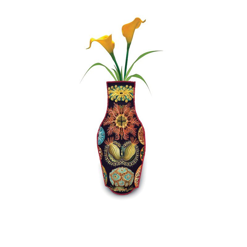 Haeckel Cotton Flower Vase