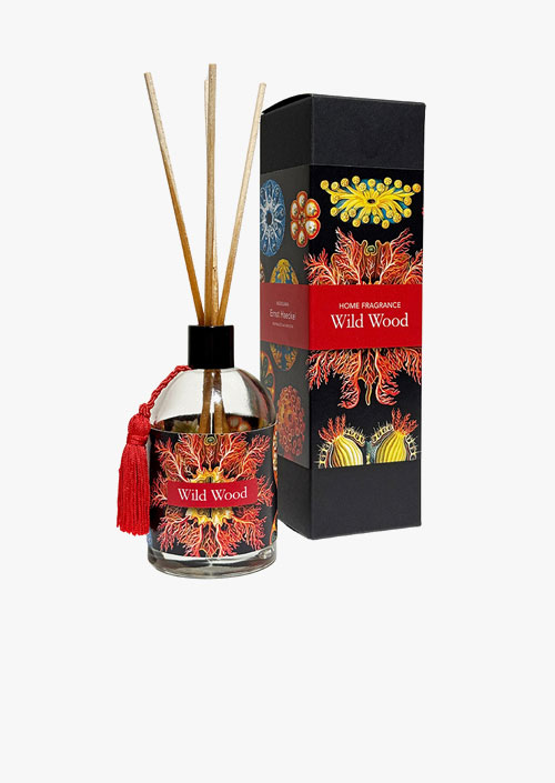Aromatic diffuser with rattan reeds and sandalwood fragrance